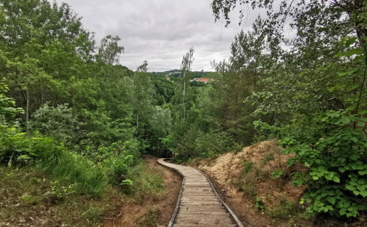 6_Bekešo kalva (2).jpg